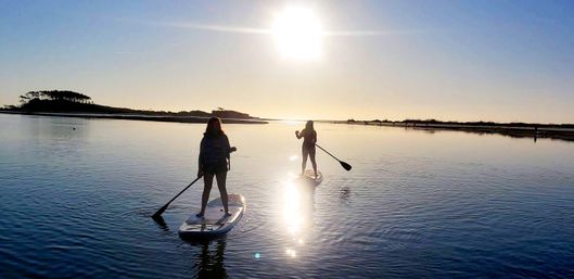 Guided Kayak & Paddleboard Tour to a Private Island image 2