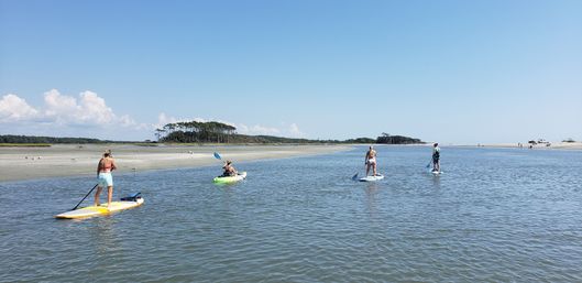 Guided Kayak & Paddleboard Tour to a Private Island image 15