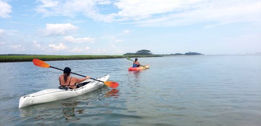 Guided Kayak & Paddleboard Tour to a Private Island image 13