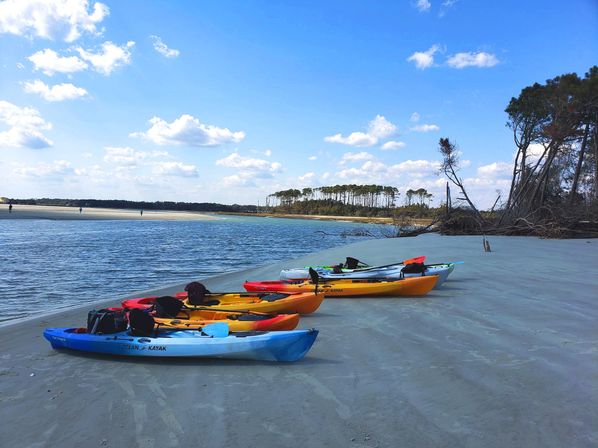 Guided Kayak & Paddleboard Tour to a Private Island image 11