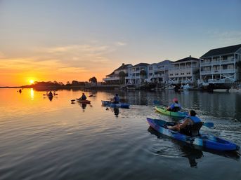 Guided Kayak & Paddleboard Tour to a Private Island image 4