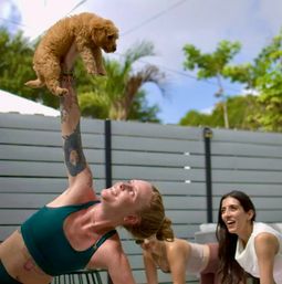 Puppy Yoga Experience at Your Vacation Rental image 4