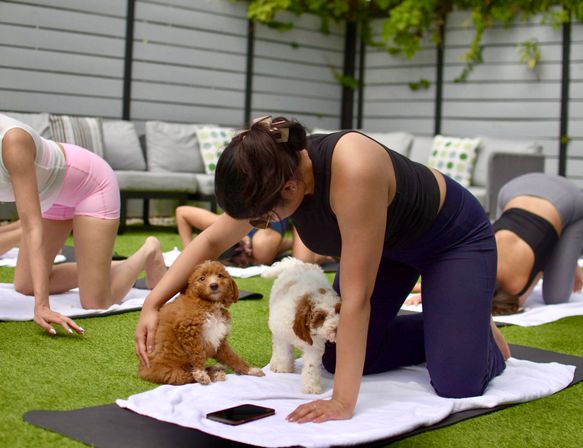 Mobile Puppy Yoga Experience at Location of Your Choice image 1