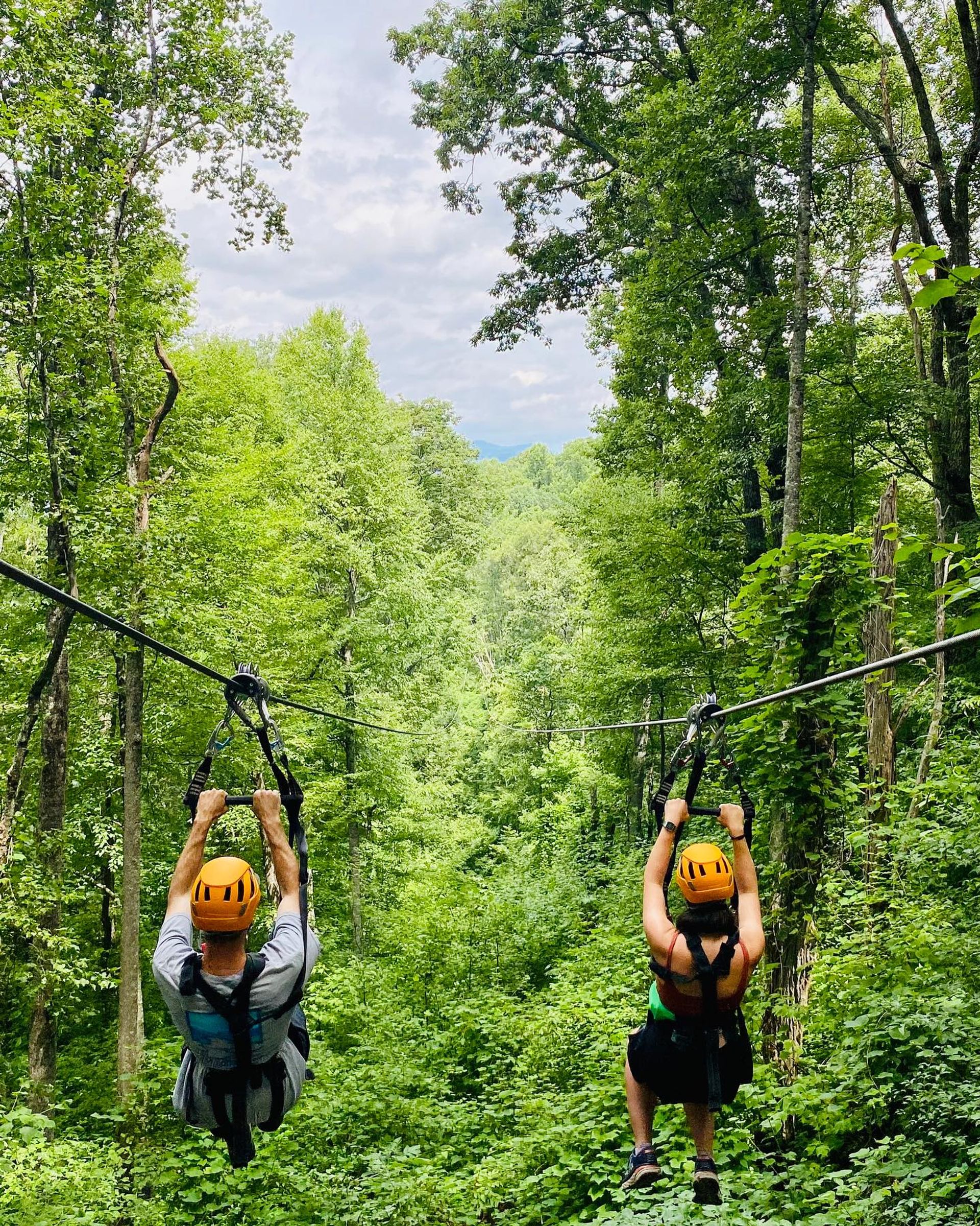 Zipline