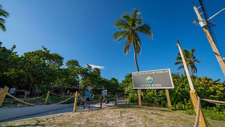 Everglades Express Tour from Fort Lauderdale: Airboat Ride, Gator Spotting & Reptile Sanctuary image 8