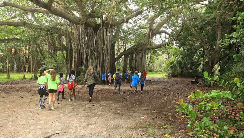 Everglades Express Tour from Fort Lauderdale: Airboat Ride, Gator Spotting & Reptile Sanctuary image 12