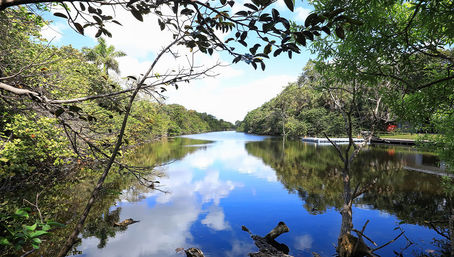 Everglades Express Tour from Fort Lauderdale: Airboat Ride, Gator Spotting & Reptile Sanctuary image 7