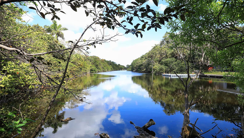 Everglades Express Tour from Fort Lauderdale: Airboat Ride, Gator Spotting & Reptile Sanctuary image 7