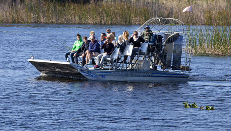 Everglades Express Tour from Fort Lauderdale: Airboat Ride, Gator Spotting & Reptile Sanctuary image