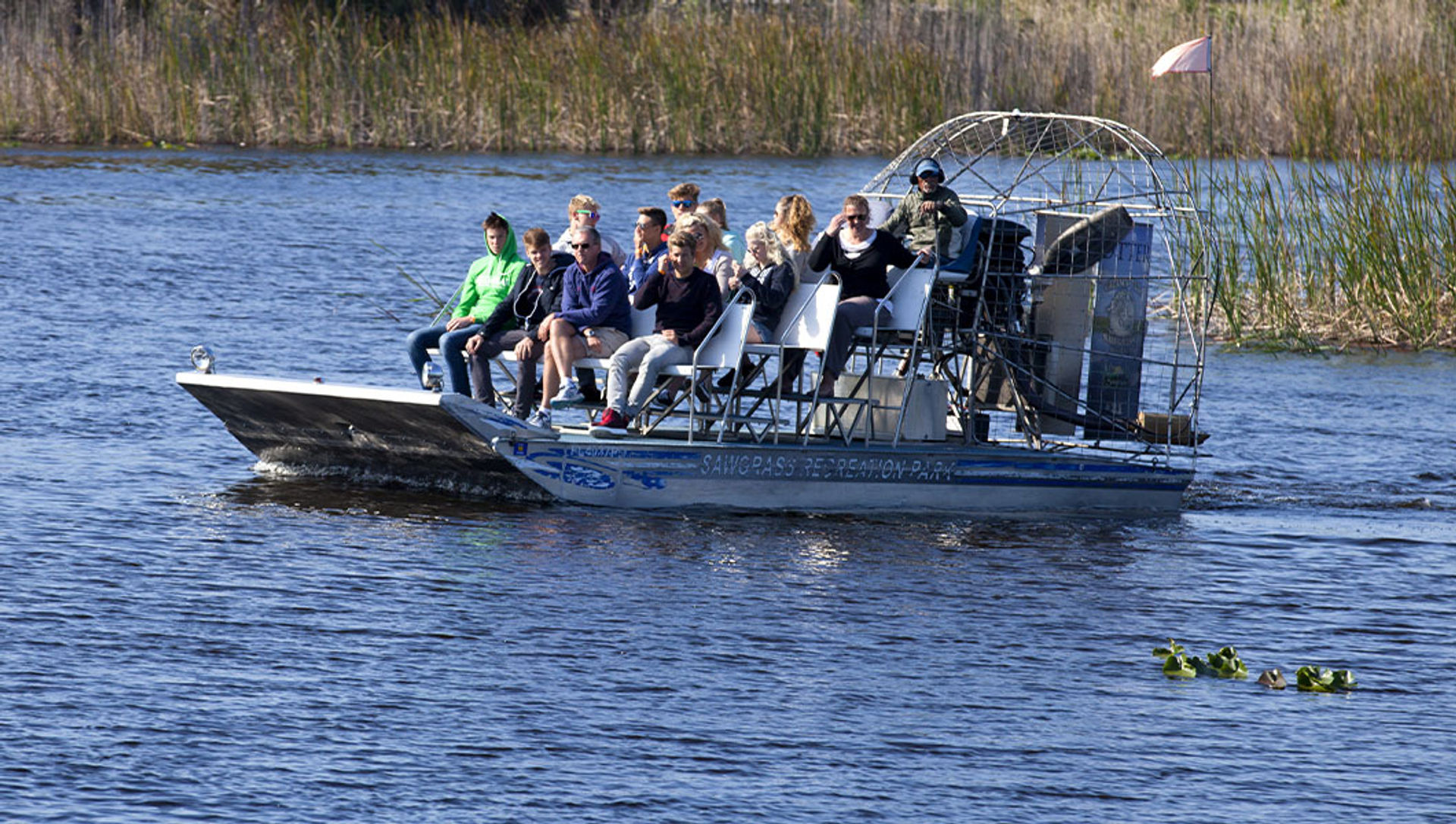 Everglades Express Tour from Fort Lauderdale: Airboat Ride, Gator Spotting & Reptile Sanctuary image 1