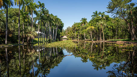 Everglades Express Tour from Fort Lauderdale: Airboat Ride, Gator Spotting & Reptile Sanctuary image 2