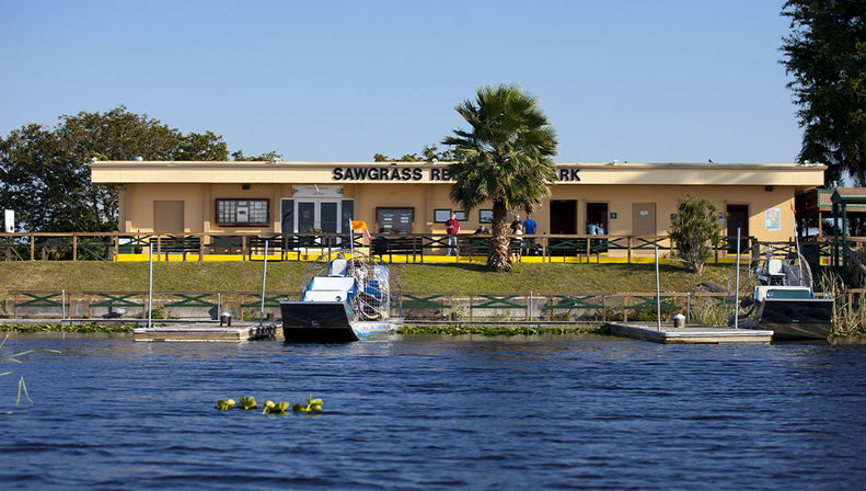 Everglades Express Tour from Fort Lauderdale: Airboat Ride, Gator Spotting & Reptile Sanctuary image 11