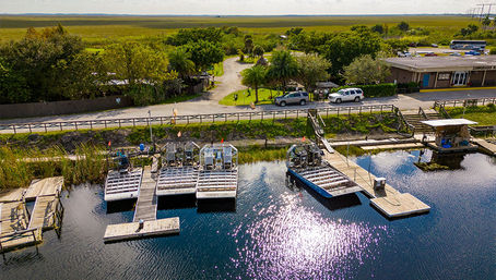 Everglades Express Tour from Fort Lauderdale: Airboat Ride, Gator Spotting & Reptile Sanctuary image 5