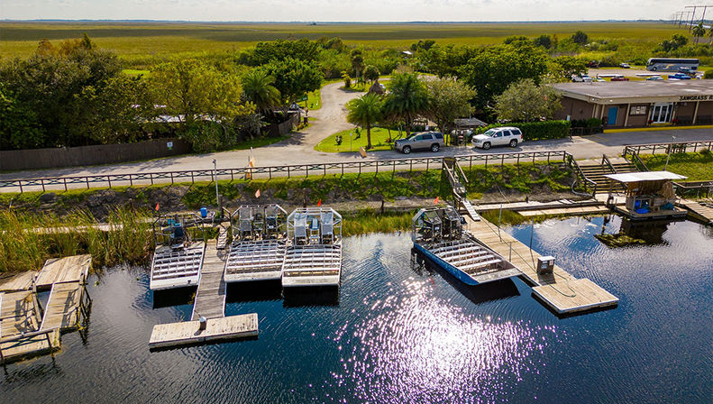Everglades Express Tour from Fort Lauderdale: Airboat Ride, Gator Spotting & Reptile Sanctuary image 5