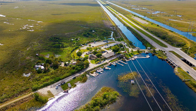 Everglades Express Tour from Fort Lauderdale: Airboat Ride, Gator Spotting & Reptile Sanctuary image 4