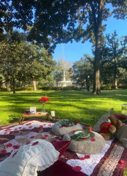 Luxury Picnic Setup in Savannah: Charcuterie Board, Wine, Games, Decor, and Speaker image 15