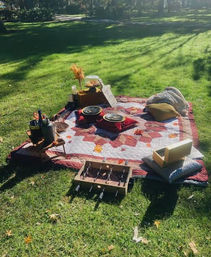 Luxury Picnic Setup in Savannah: Charcuterie Board, Wine, Games, Decor, and Speaker image 19
