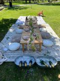 Thumbnail image for Luxury Picnic Setup in Savannah: Charcuterie Board, Wine, Games, Decor, and Speaker
