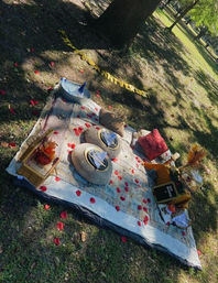 Luxury Picnic Setup in Savannah: Charcuterie Board, Wine, Games, Decor, and Speaker image 8