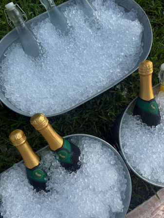 Luxury Picnic Setup in Savannah: Charcuterie Board, Wine, Games, Decor, and Speaker image 22