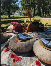 Luxury Picnic Setup in Savannah: Charcuterie Board, Wine, Games, Decor, and Speaker image 6