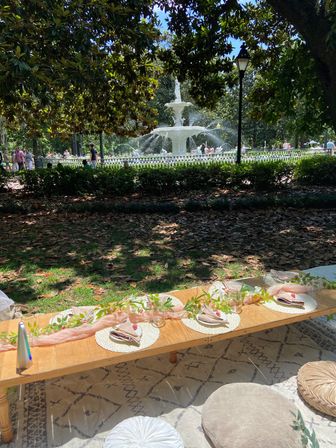 Luxury Picnic Setup in Savannah: Charcuterie Board, Wine, Games, Decor, and Speaker image 1