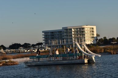 Orange Beach Boat Rentals with Bluetooth Sound System & Shaded Seating On Board (Up to 12 Passengers) image 6