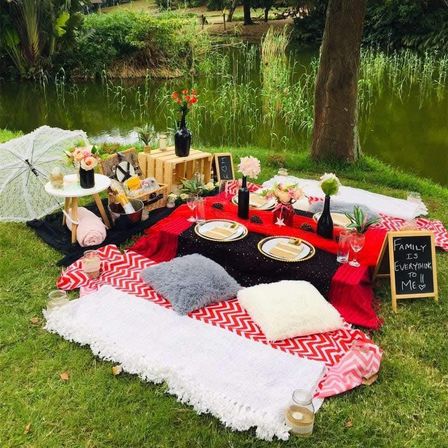 Elevated Picnic Experience by Cora's Custom Creations image 4