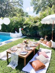 Luxury Pop Up Picnic (BYOB) image 4