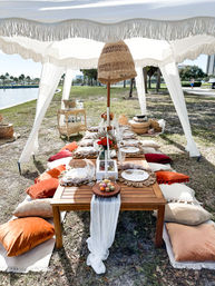 Luxury Pop Up Picnic (BYOB) image 8