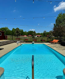 Sun-Soaked VIP Dine & Dip at the Poolside Paddock image 3