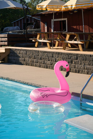 VIP Dine & Dip Experience at Charming Farmhouse: Custom Menus with Private Mixologist and Insta-Worthy Photo-Ops image 16