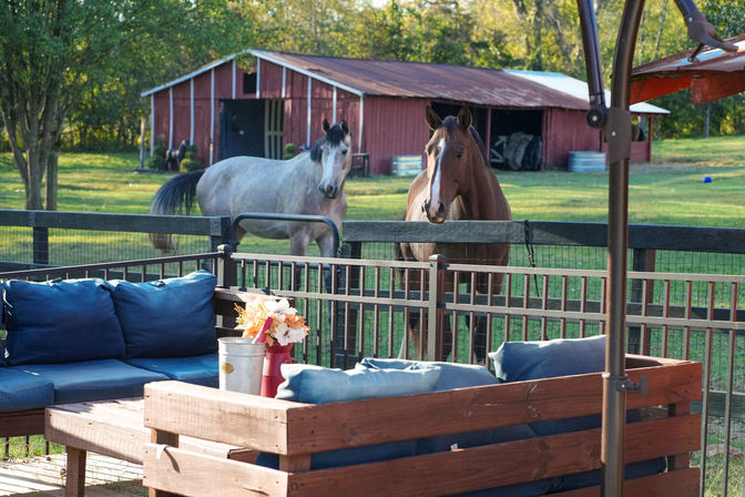 VIP Dine & Dip Experience at Charming Farmhouse: Custom Menus with Private Mixologist and Insta-Worthy Photo-Ops image 3