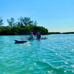 Clear Kayak Tour of Shell Key Preserve image 3