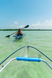 Clear Kayak Tour of Shell Key Preserve image 5