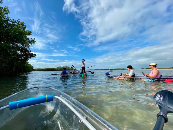 Clear Kayak Tour of Shell Key Preserve image 7