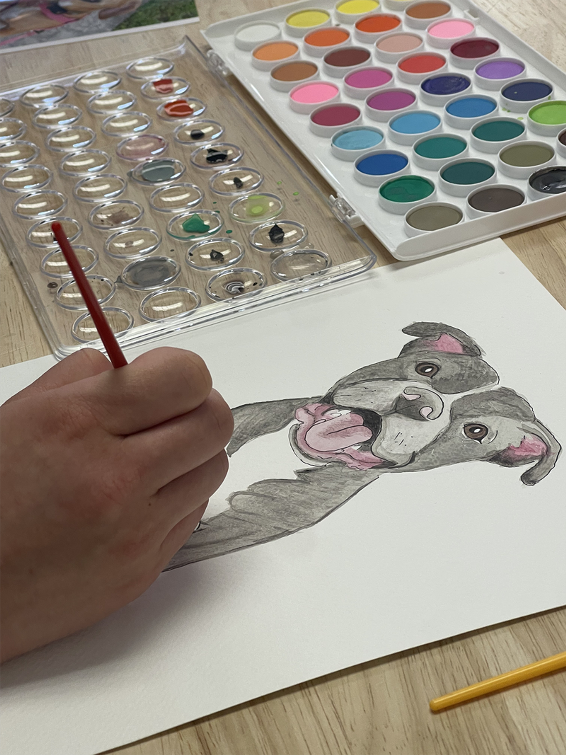 Paint Your Pet's Portrait in Watercolor with No Experience Necessary image 1