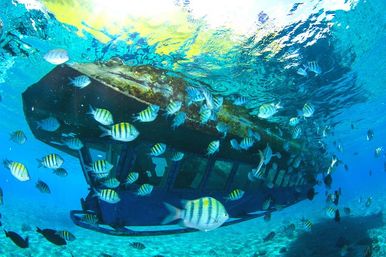 Sub See Explorer Underwater Adventure image