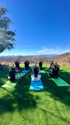 Private Group Yoga: Enjoy a Customized Class at the Beach or Your Airbnb image 11