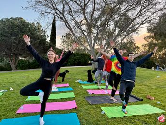 Private Group Yoga: Enjoy a Customized Class at the Beach or Your Airbnb image 36