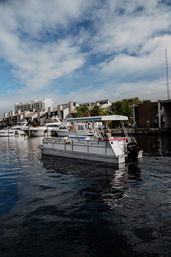 Private Pontoon Boat Party with Room for 10 People (BYOB) image 7