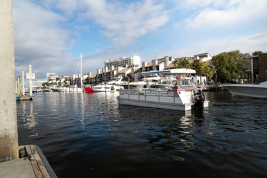 Private Pontoon Boat Party with Room for 10 People (BYOB) image 8