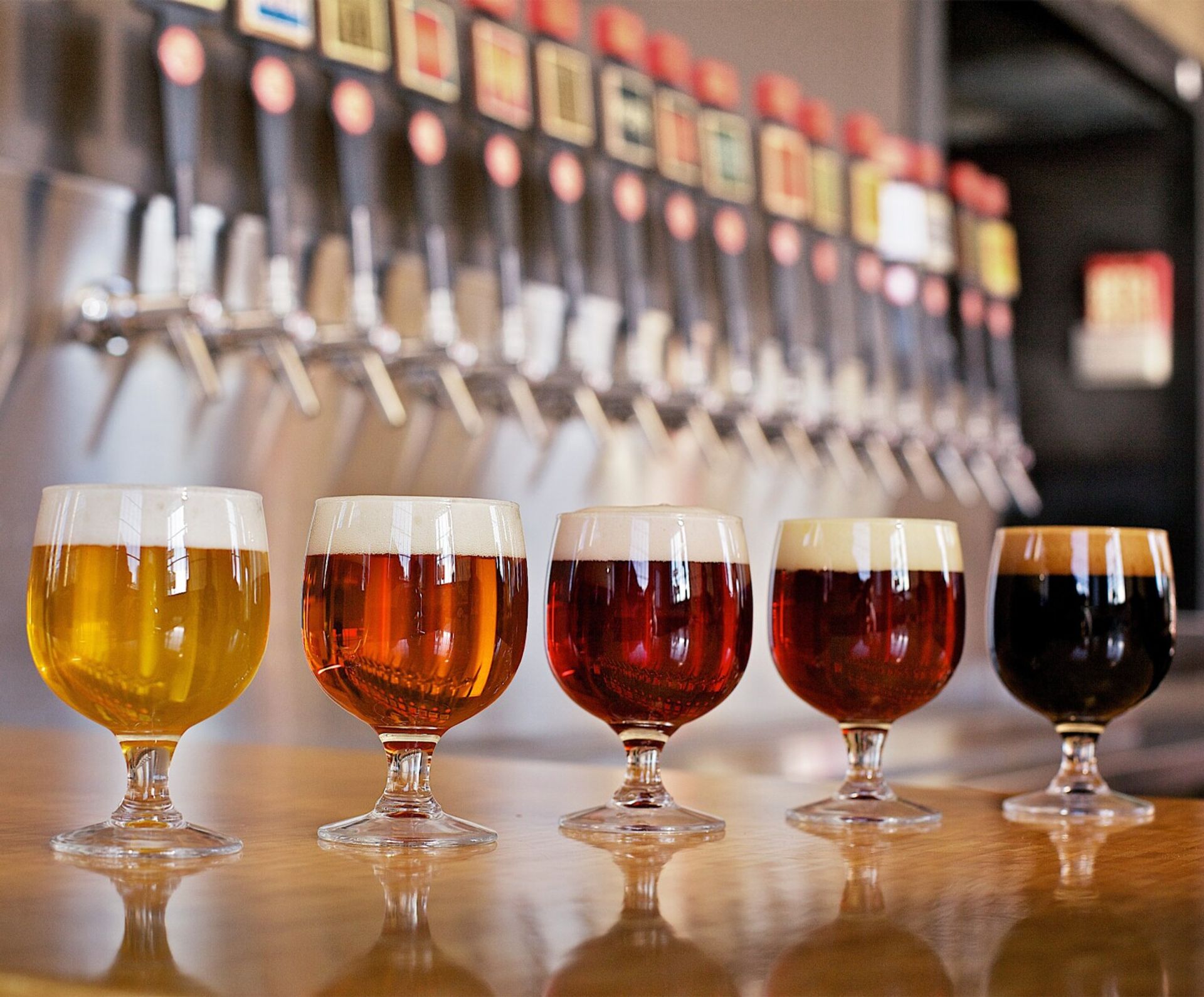 3-Hour Colorado Craft Beer Tasting in Downtown Denver image 1
