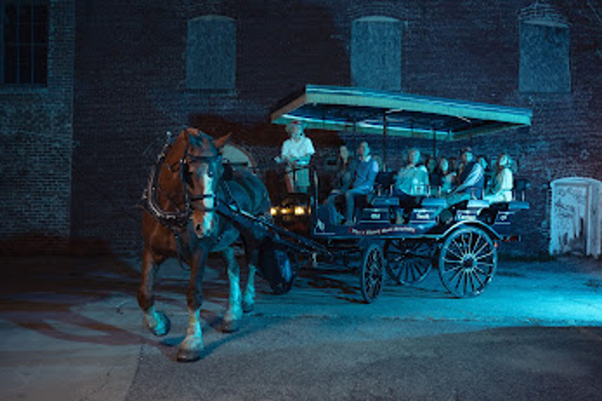 Haunted Horse Drawn Carriage Tour  image 2