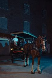 Haunted Horse Drawn Carriage Tour  image 3