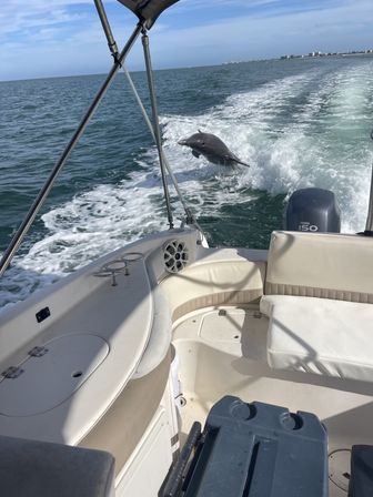 Playful dolphin leaping through the wake beside a small motorboat on a sunny day in coastal ocean waters with a distant shoreline
