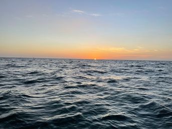 BYOB Sunset Party Cruise Along Florida’s Coast image 5
