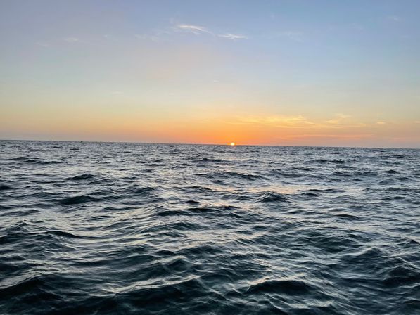 BYOB Sunset Party Cruise Along Florida’s Coast image 5