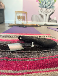 Mobile Yoga, Sound Healing, and Breathwork Meditation: Rejuvenating At-Home BYOB Party image 10