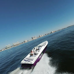 Private Baja Blast: A Private Speedboat Excursion For Up to Six   image 3